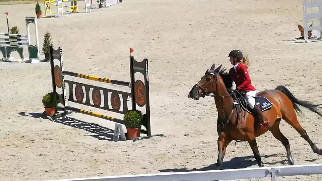 RANCH Hořovice_Hořovice_slider_image_2