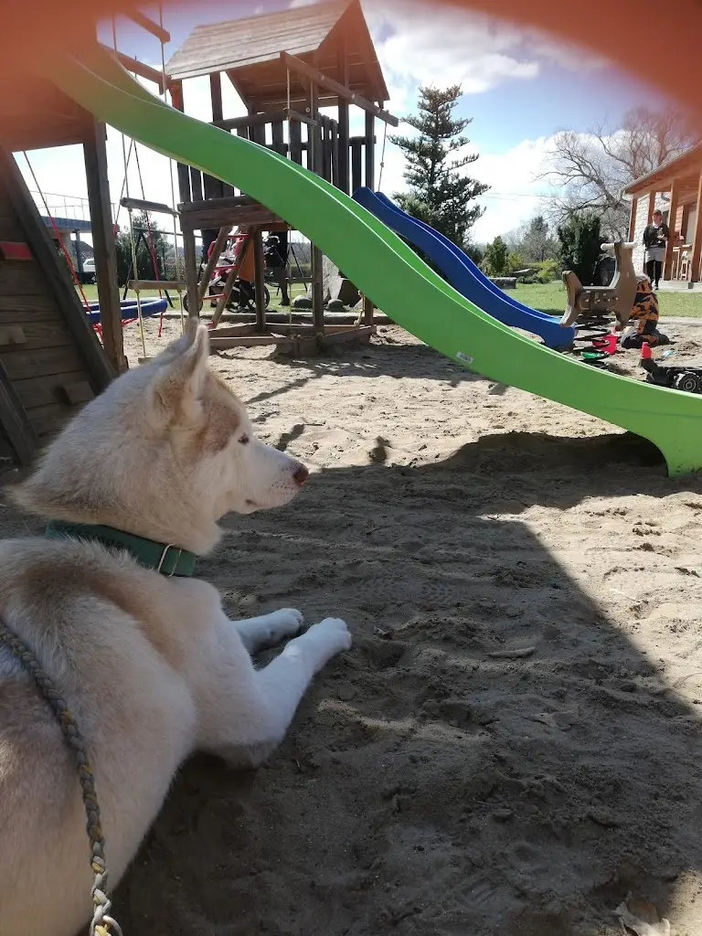 Dominika Nicha Marhoul_Restaurace Krmelec Vlaška_Dobříš_review