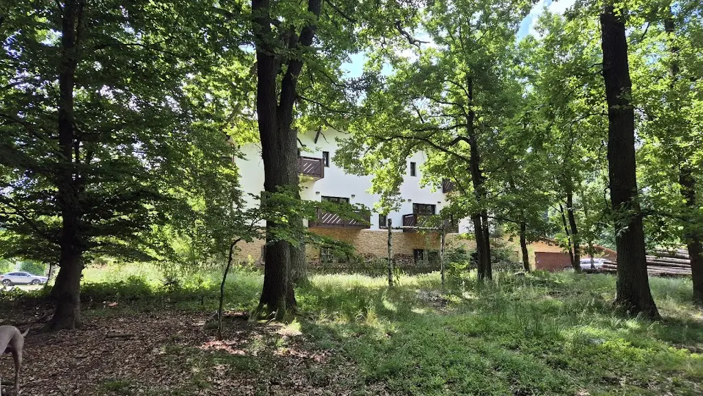 Radek Šiml_Restaurace & Penzion Rochota_Dobříš_recensione