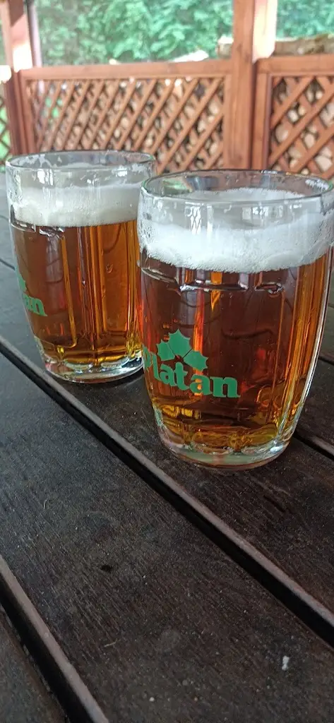 Kristýna Vacardová_Chata Živec_Okres Písek_review