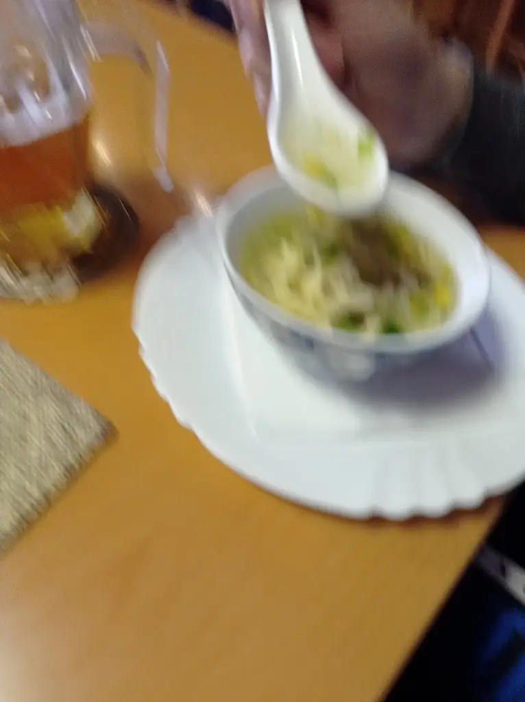 Jan Vecerek_Viet - Thai Restaurace_Okres Písek_review