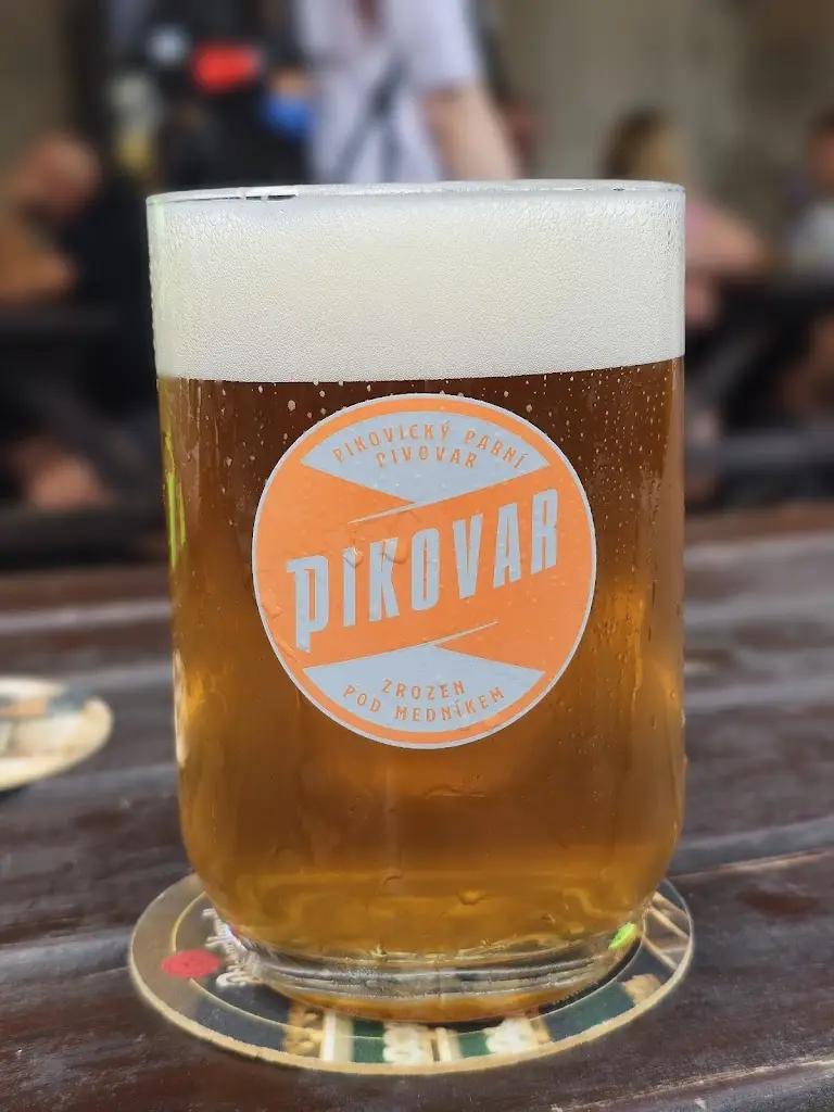 Menu_Restaurace U Dolejších - Pivovar Pikovar_Hradištko_image_5