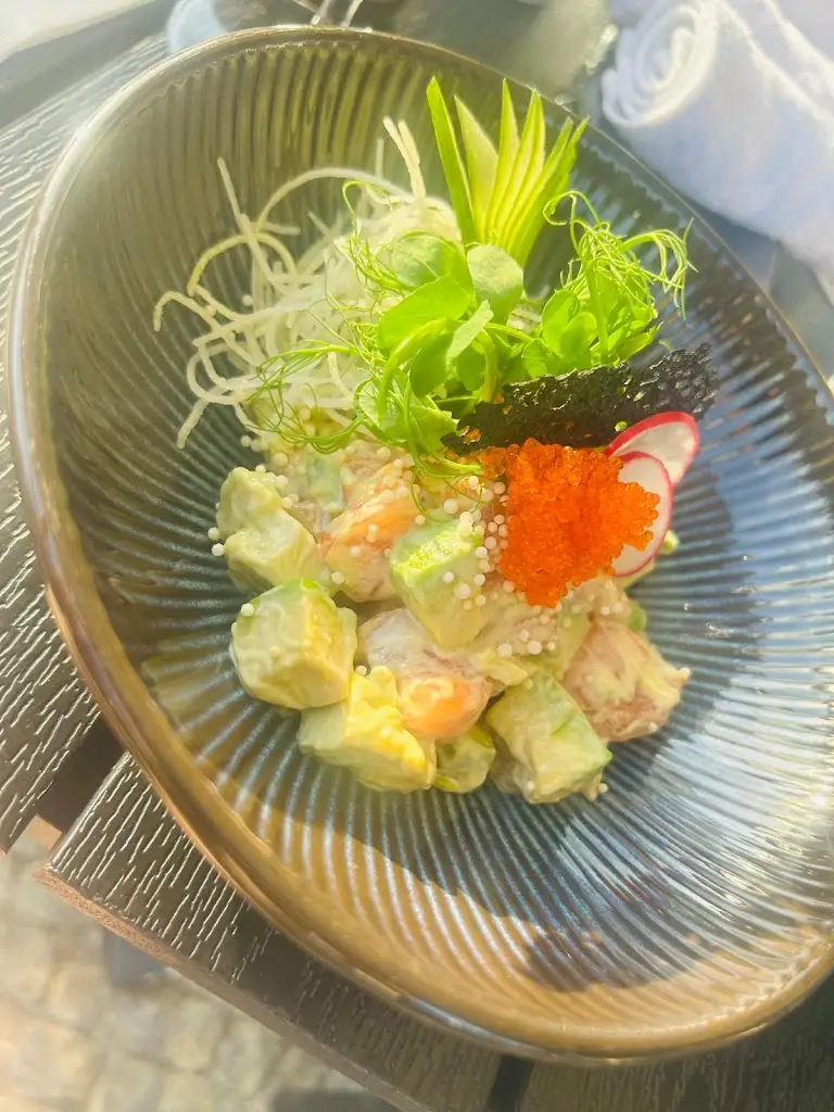 Yves VdB_Sushi Corso_Dolní Břežany_review