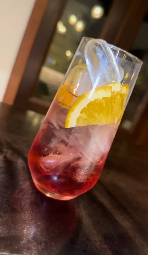 Menu_GATE WAY OF INDIA Restaurant_Kolín_image_3