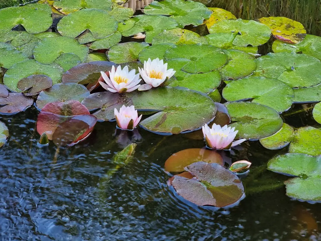 Maksym Gorbatykh_ARCHERY - Texas Mexican Restaurant_Kolín_review