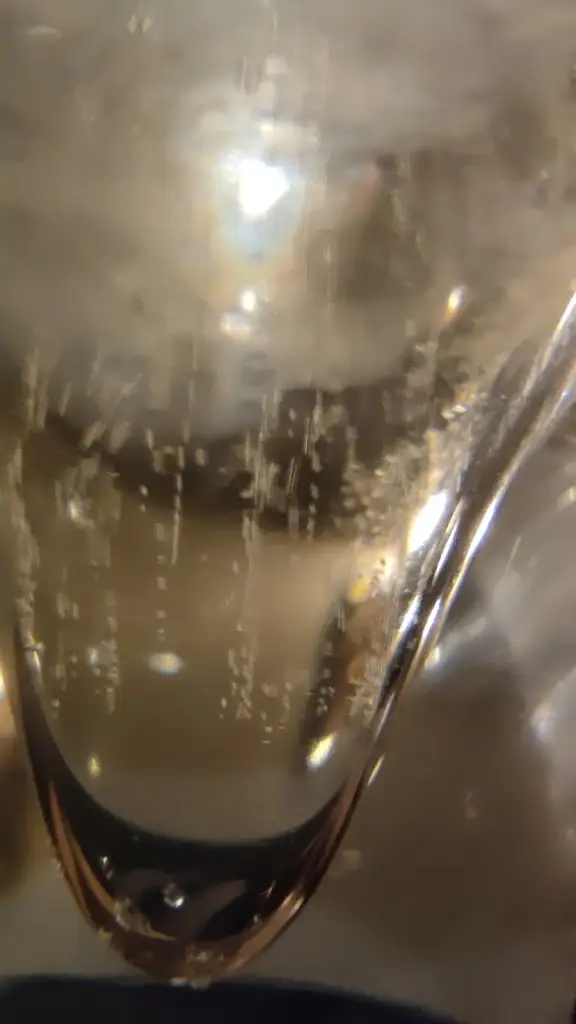 Elena Zhogol_La Farina Ristorante & Pizzeria_Kolín_review