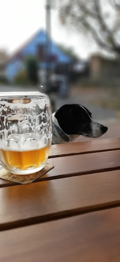 Menu_Restaurace Vašírovský Dvůr_Lány_image_5