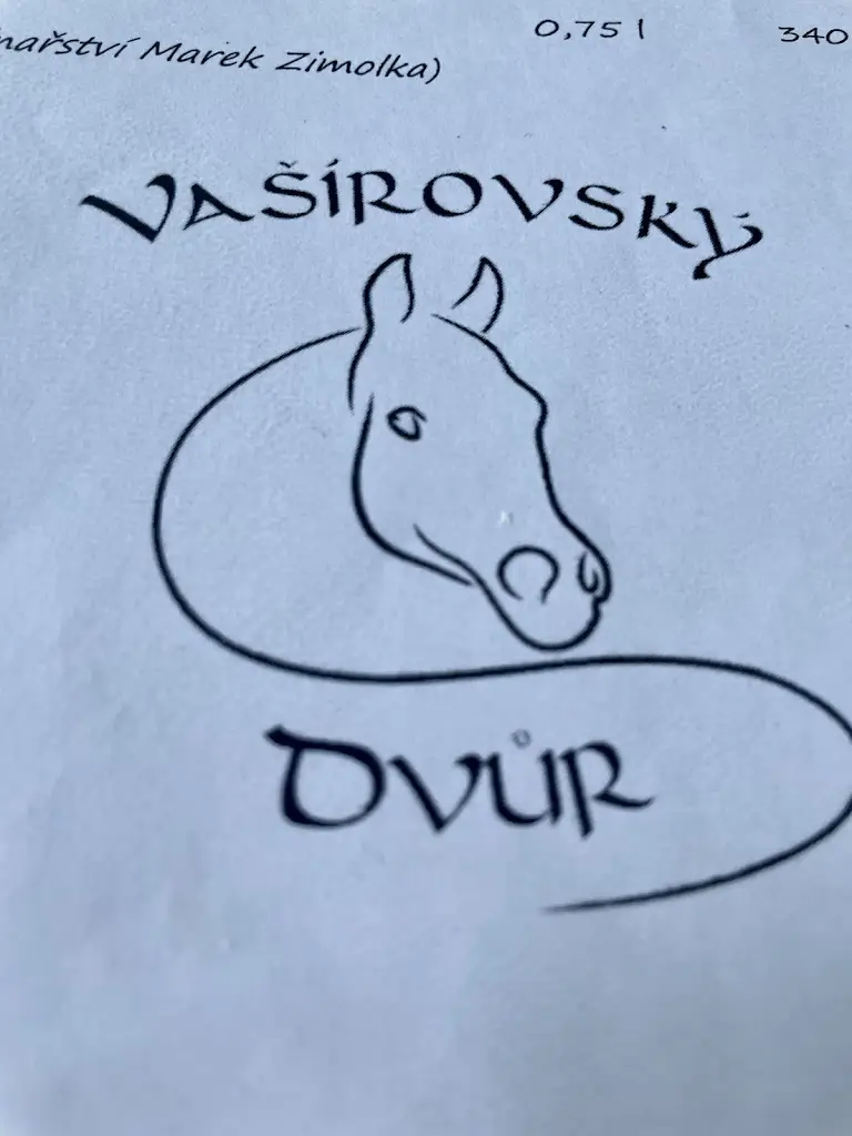 Patti Miller_Restaurace Vašírovský Dvůr_Lány_review