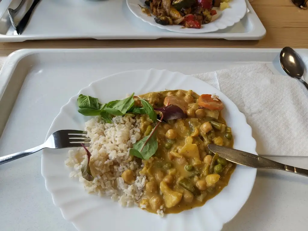 Dušan_Natural Písek s.r.o. – vegetariánská restaurace a prodejna_Okres Písek_review