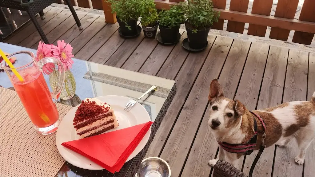 Alvazuz_Café Rendez-Vous - kavárna_Kosmonosy_review