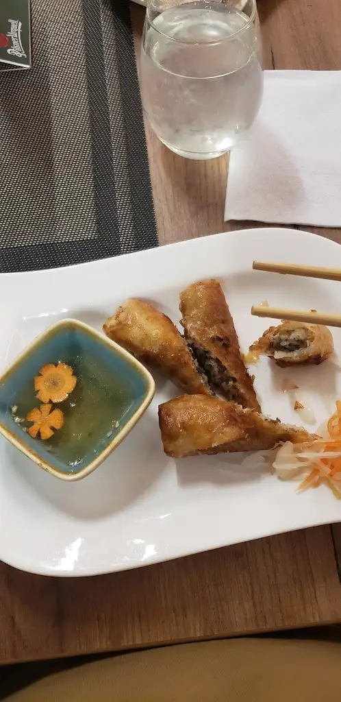 Binge Watcher_Drak Restaurace - Asijská kuchyně_Okres Písek_review