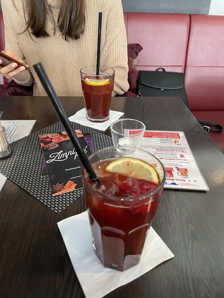 Sagittarius_Mustang Bar Restaurant_Kladno_review