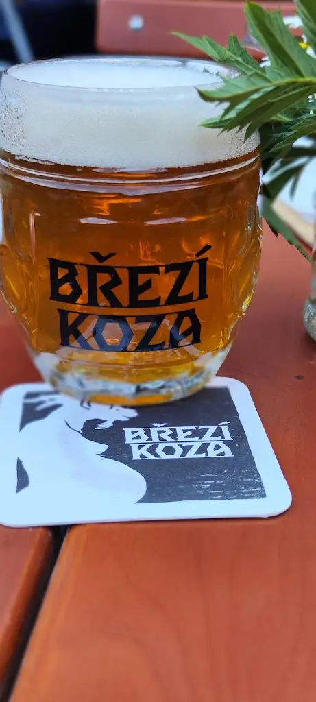 Menu_Travel cafe Písek_Písek_image_5