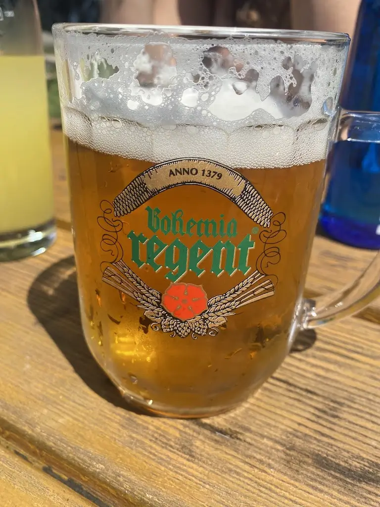 Václav Šojdel_U Přívozu_Libice nad Cidlinou_review