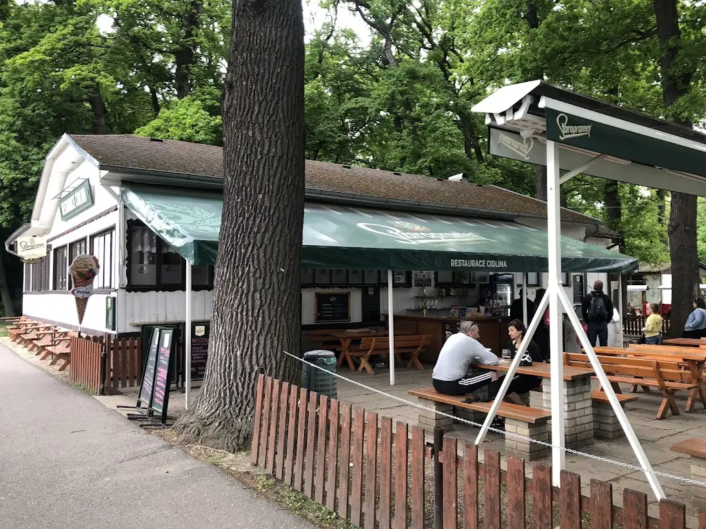 K F (Kafe)_Restaurace Cidlina_Libice nad Cidlinou_review