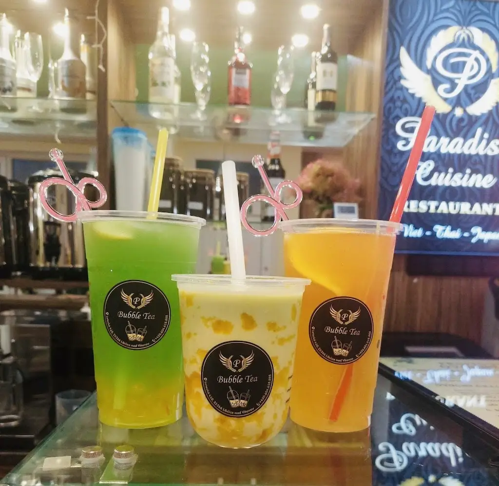 Paradise cuisine restaurant_Libčice nad Vltavou_slider_image_3