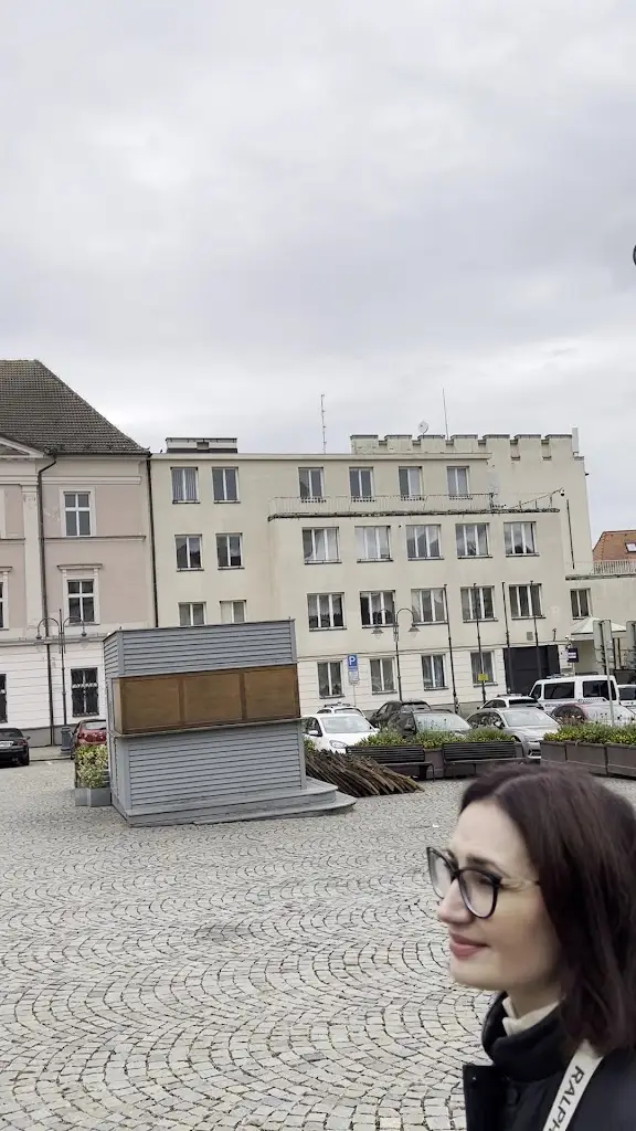 Lawrence Kwolek_Indická restaurace Tandoor_Okres Tábor_review