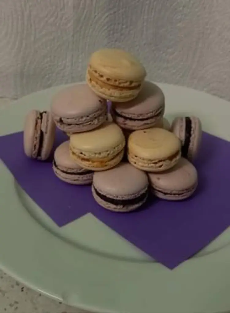 Zmrzlinový ráj Krédo_Loučeň_slider_image_2