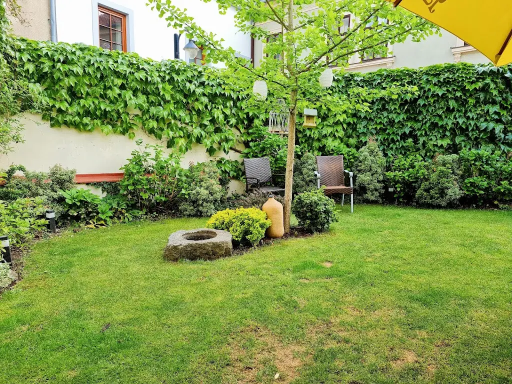 Thomas WIttig_Green Tree Restaurant_Okres Tábor_review