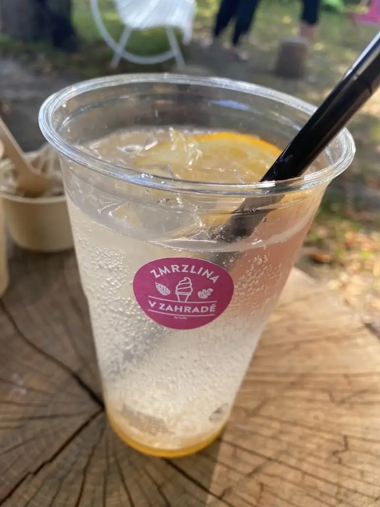 Menu_Zmrzlina v zahradě_Městec Králové_image_5