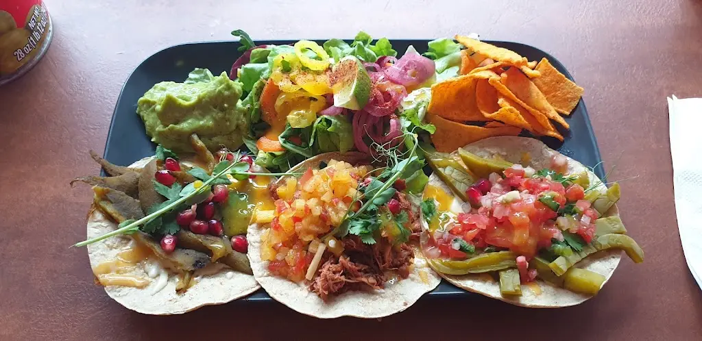 Frances van Zyl_Mercado de Mexico_Okres Tábor_review