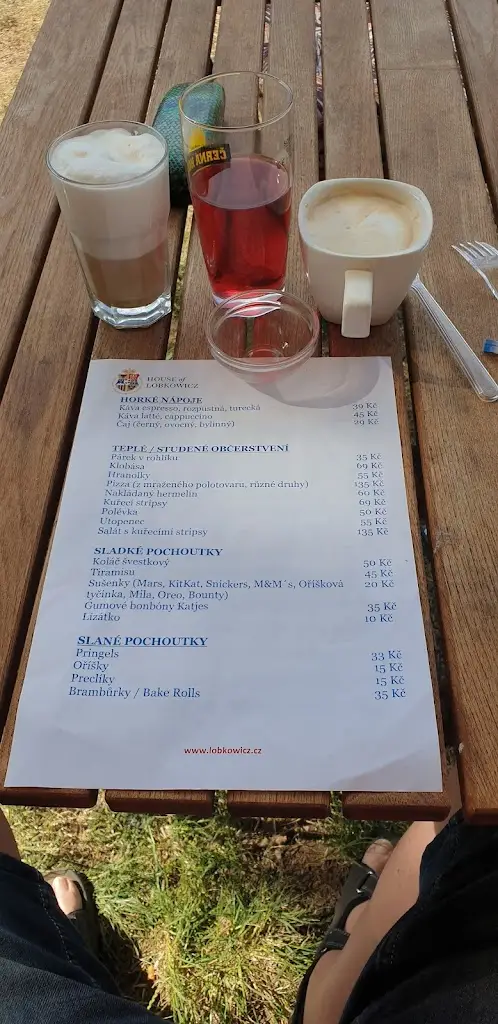 Menu_Zmrzlinárna Občerstvení Skála_Nelahozeves_image_3