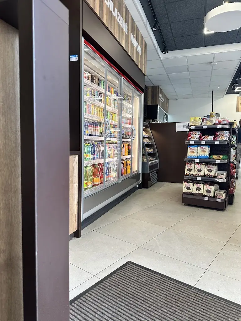 Serghei Caduchica_Shell_Nelahozeves_review