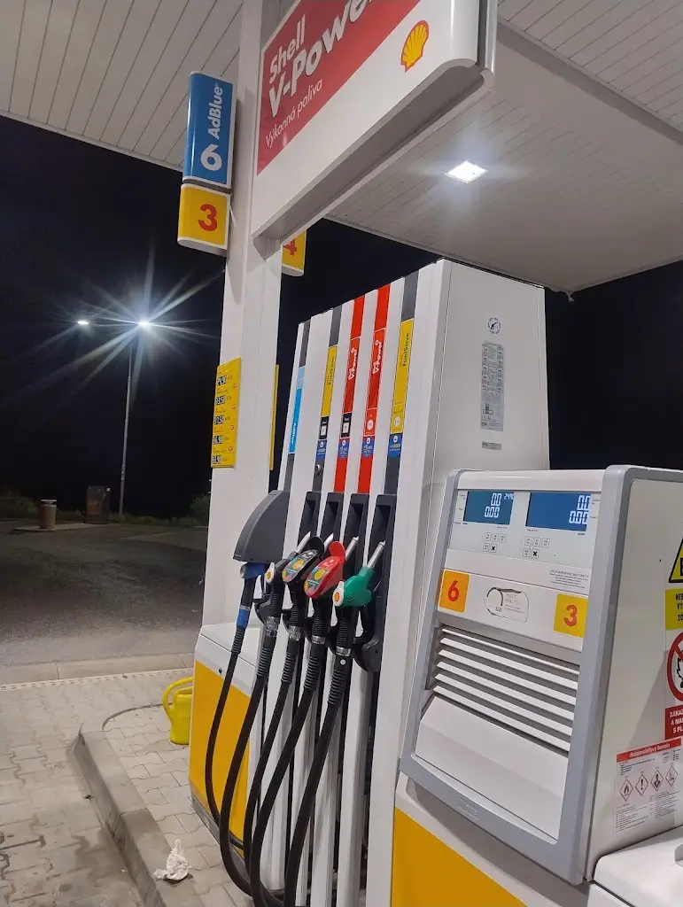 Zuzana Rolinc_Shell_Nelahozeves_review