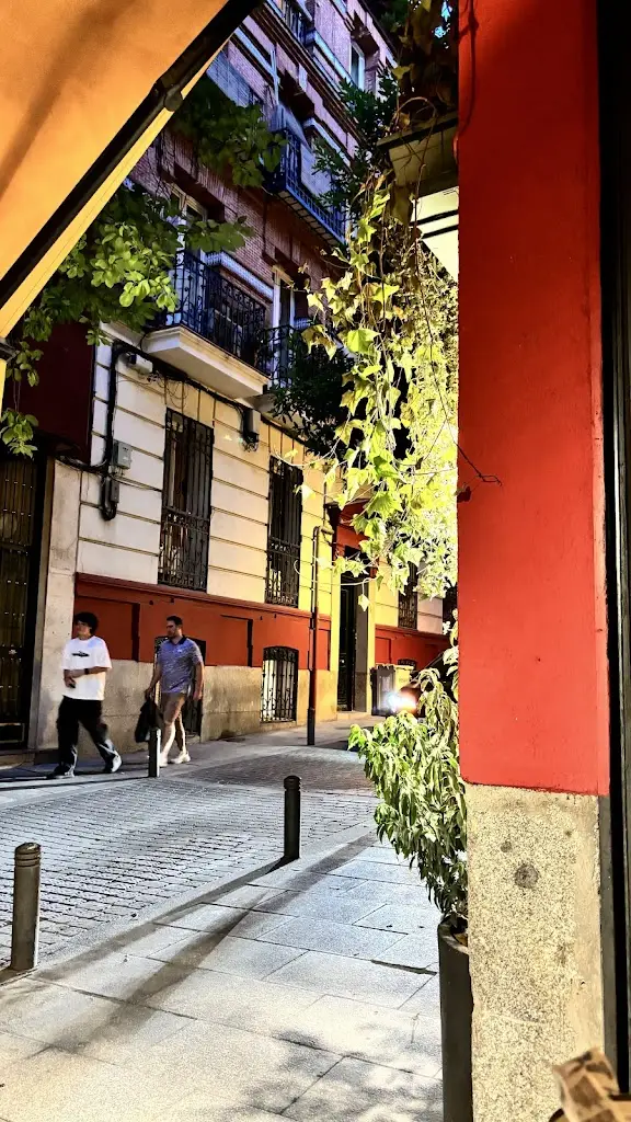 Selin Yavuz_Trattoria Pulcinella_Bernartice_review