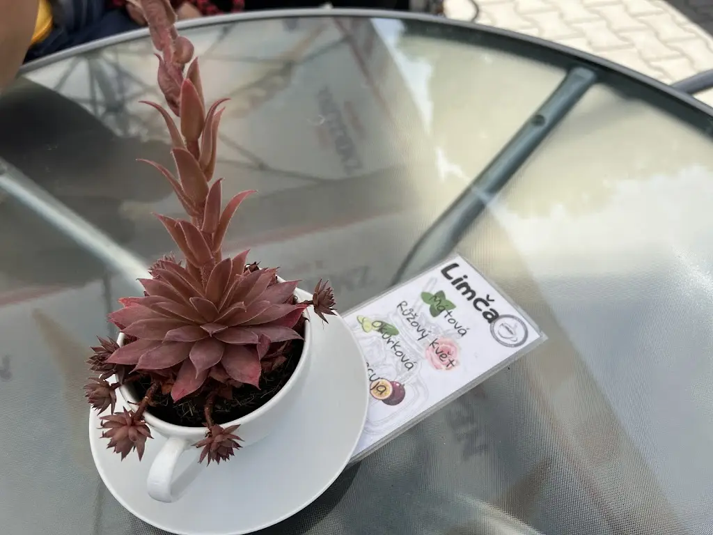 zdeněk nouza_Deko Bistro_Kralupy nad Vltavou_review