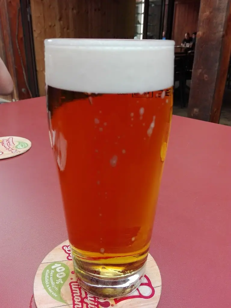 Menu_Restaurace Pobuda_Mšeno_image_5