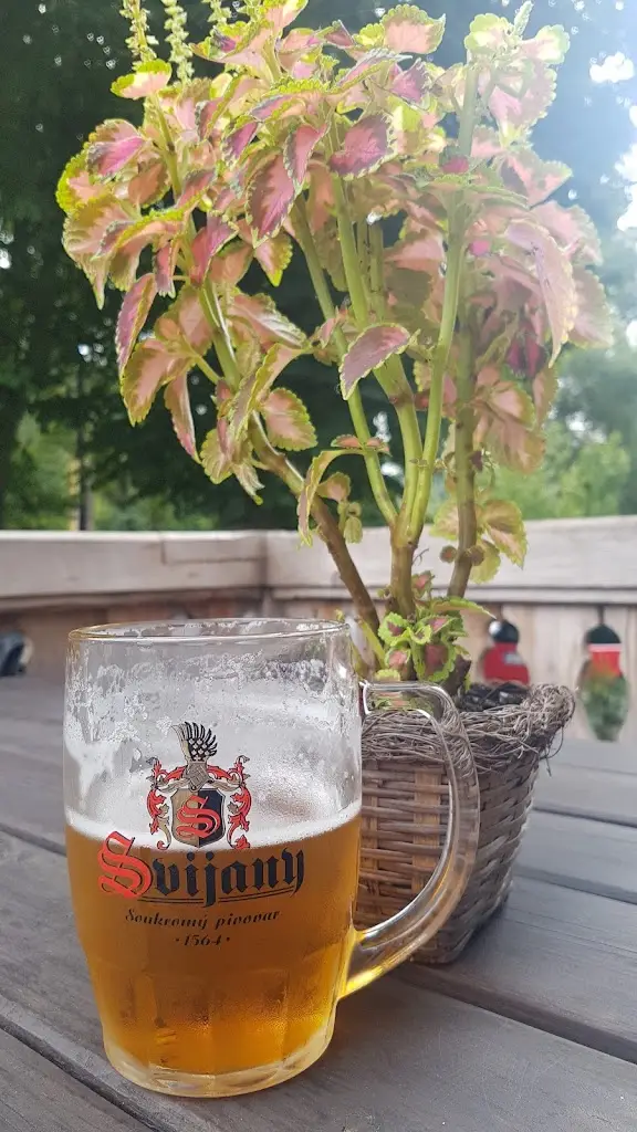 Menu_Penzion a restaurace U báby Šubrový_Mšeno_image_5