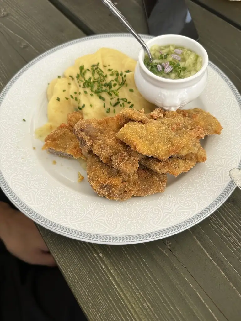 Jana Trnovská_ČERNÁ SRNA_Mšeno_review