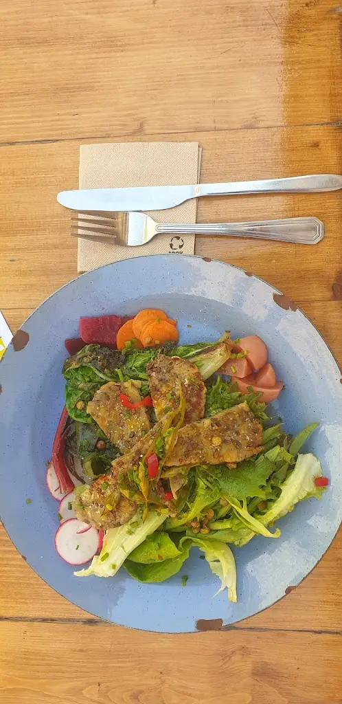 Frances van Zyl_Triko Tábor_Okres Tábor_review