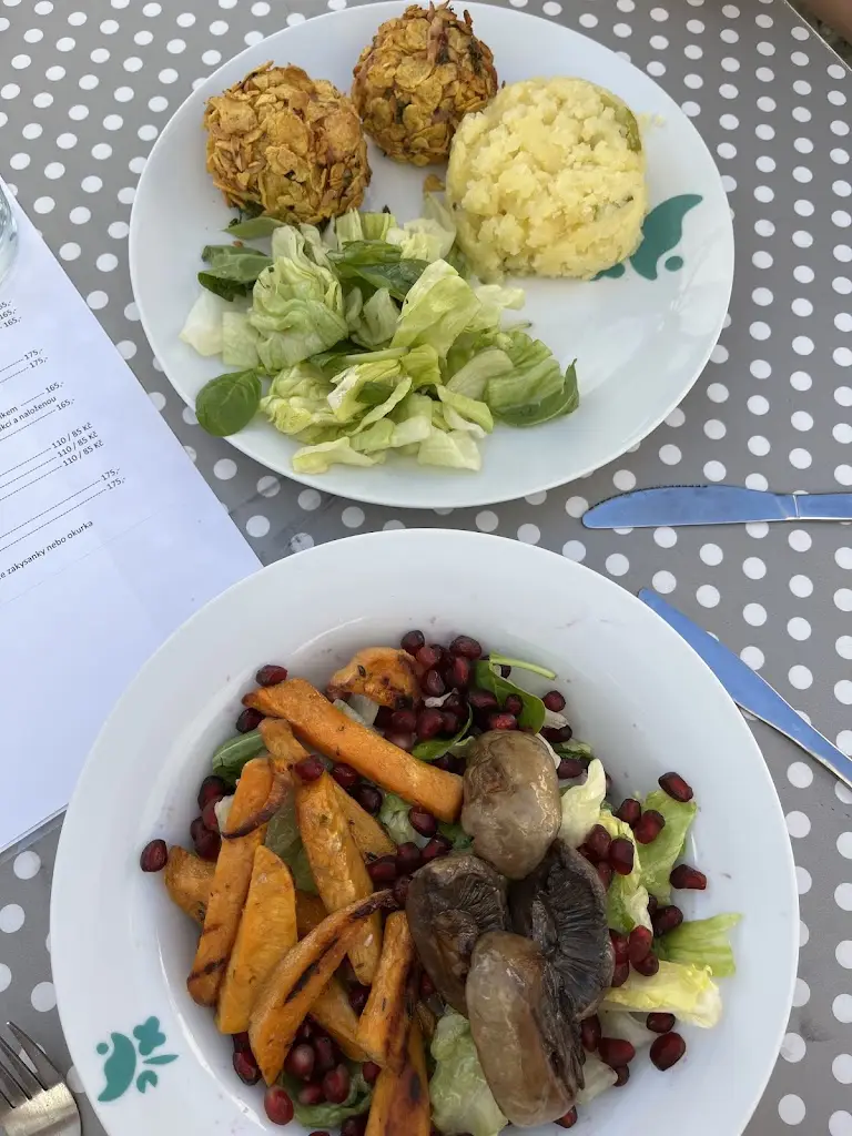 Nadiya B_Výkvět bistro_Okres Tábor_review