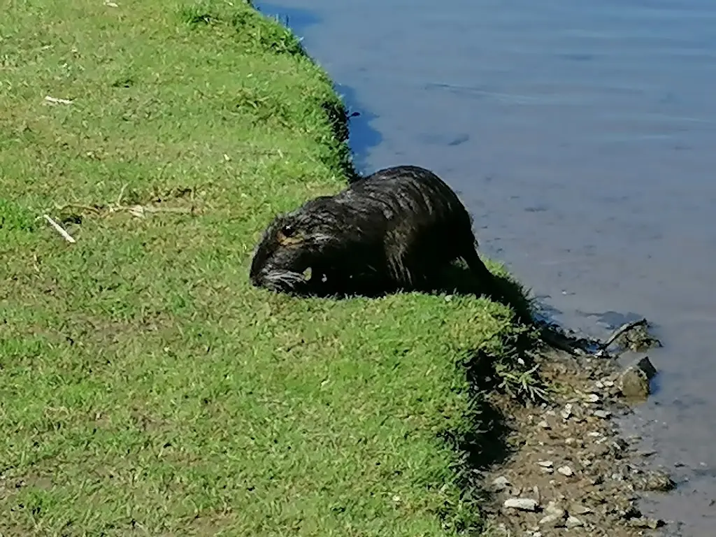 Nižborská Náplavka_Nižbor_slider_image_3