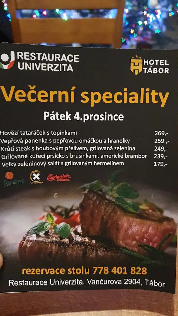 Menu_Restaurace Univerzita_Okres Tábor_image_3