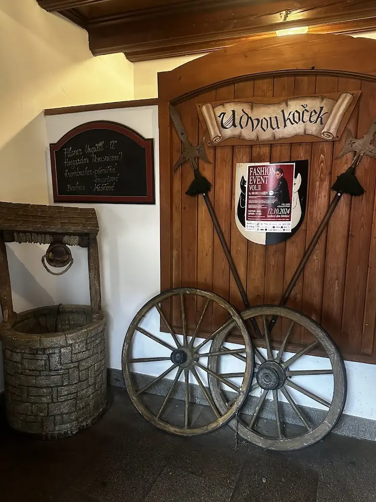 Etijoro Leslie_U Dvou Koček_Okres Tábor_review