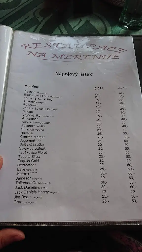 Menu_Restaurace Na Merendě_Nový Knín_image_2