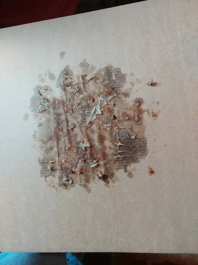 Adéla Bozděchová_Pizza Shark_Nový Knín_review