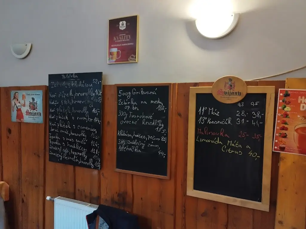 Menu_Forest Restaurant Harrachovka_Okres Tábor_image_3