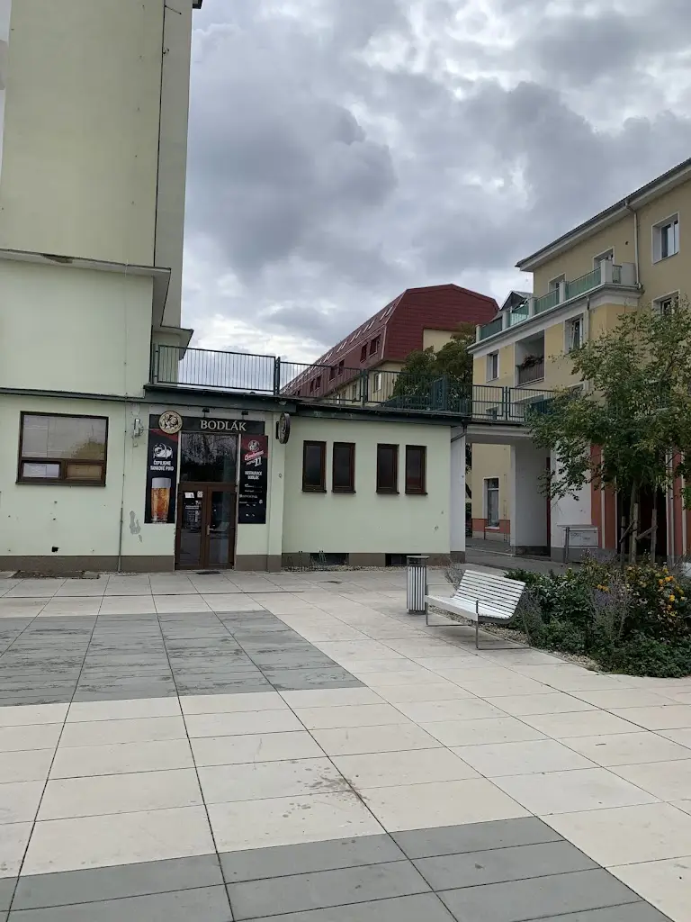 Gustav Gustafsson_Bodlák_Odolena Voda_review