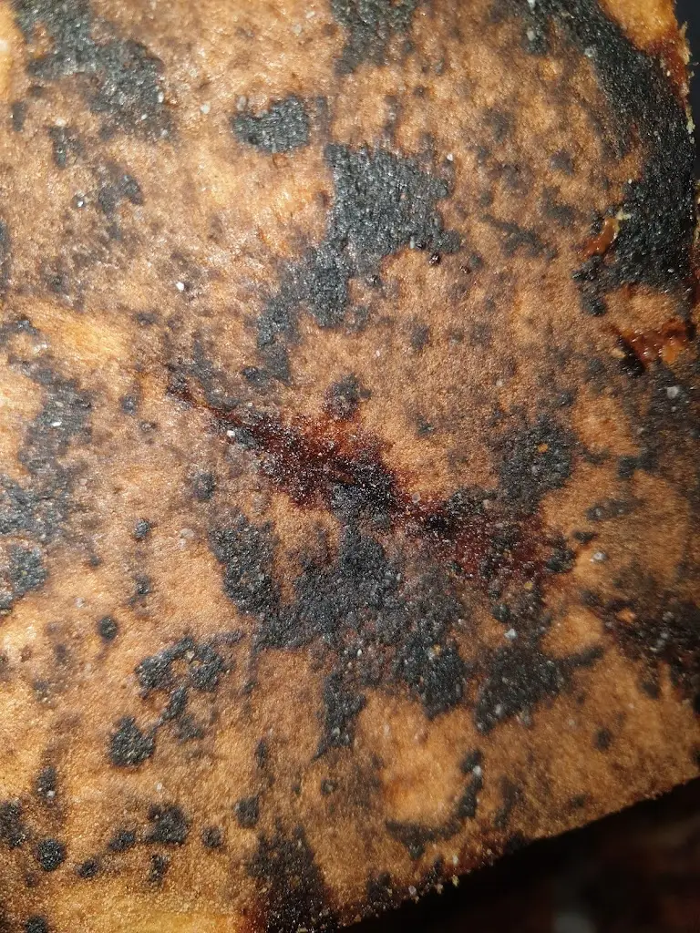 Martin Šimek_PIZZARNA - Lysá nad Labem_Lysá nad Labem_review