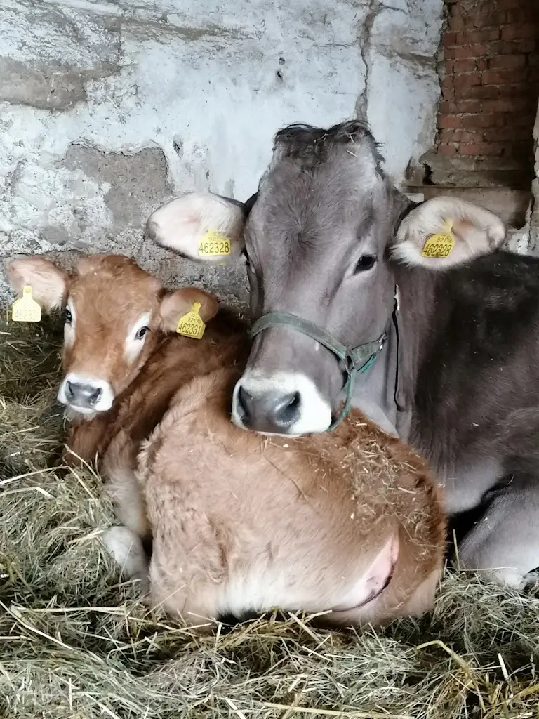 Občerstvení Na statku_Lysá nad Labem_slider_image_3