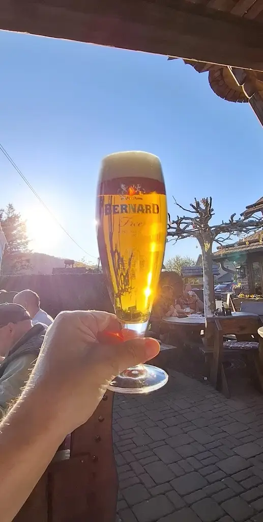 Igor Novoseltsev_Restaurant U Máni v Třebani_Okres Beroun_review