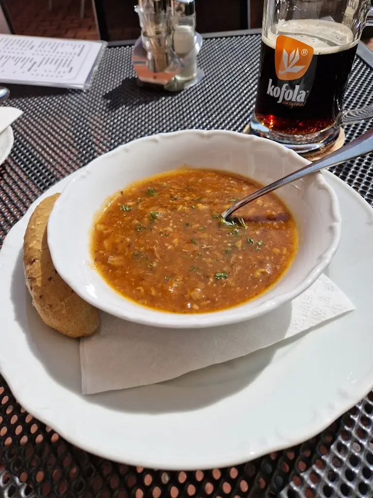 Menu_Restaurant Jansa_Nové Strašecí_immagine_5