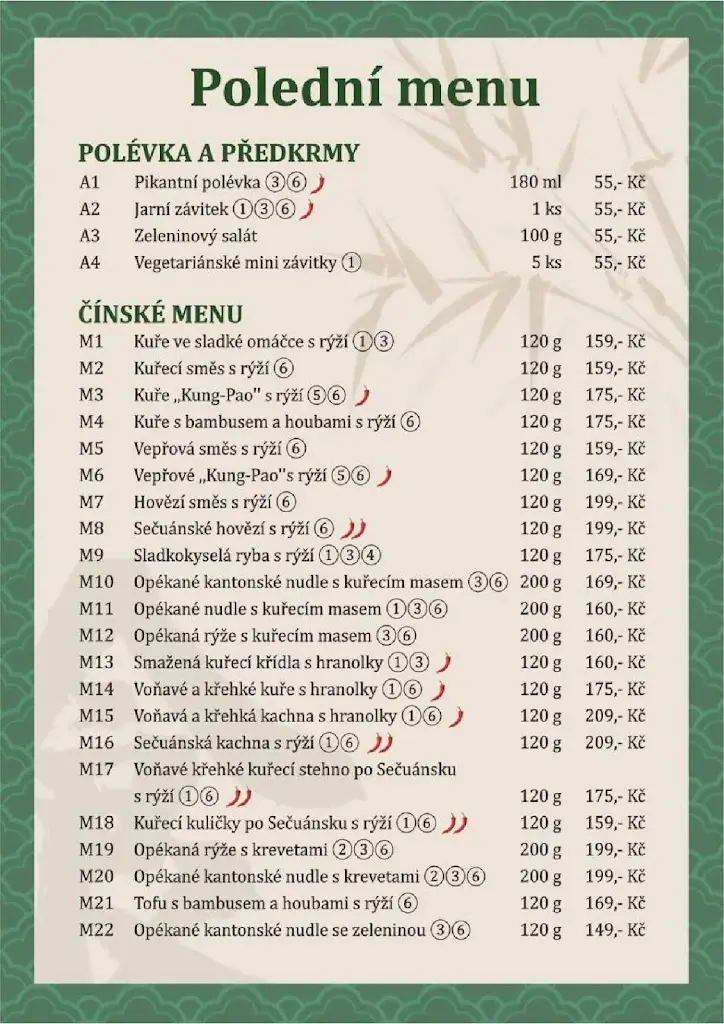 Menu_Čínská restaurace Shanghai Tábor_Okres Tábor_image_2