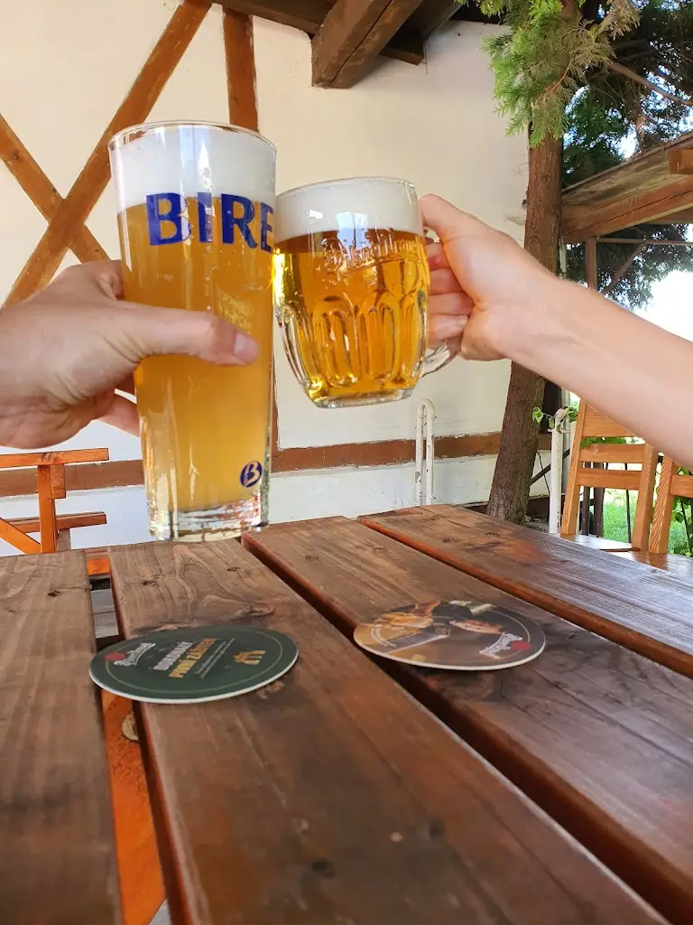 Andres Ranero_Restaurace Pod Hrady Olšina_Mnichovo Hradiště_review