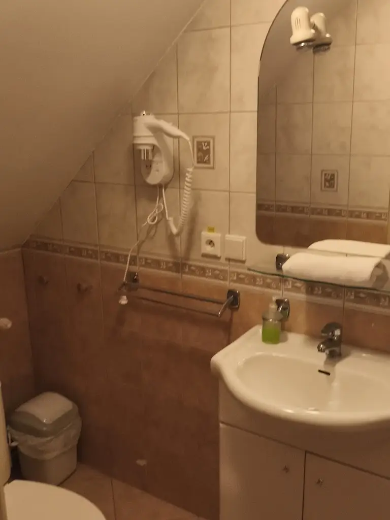 Arkadiusz Wojsiat_Pension U Mydlář_Mnichovo Hradiště_review