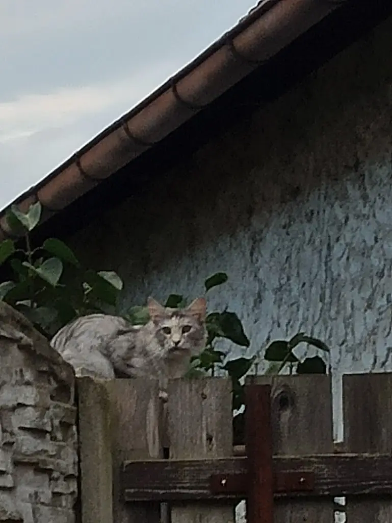 Matt haken_U České Koruny_Okres Mělník_review